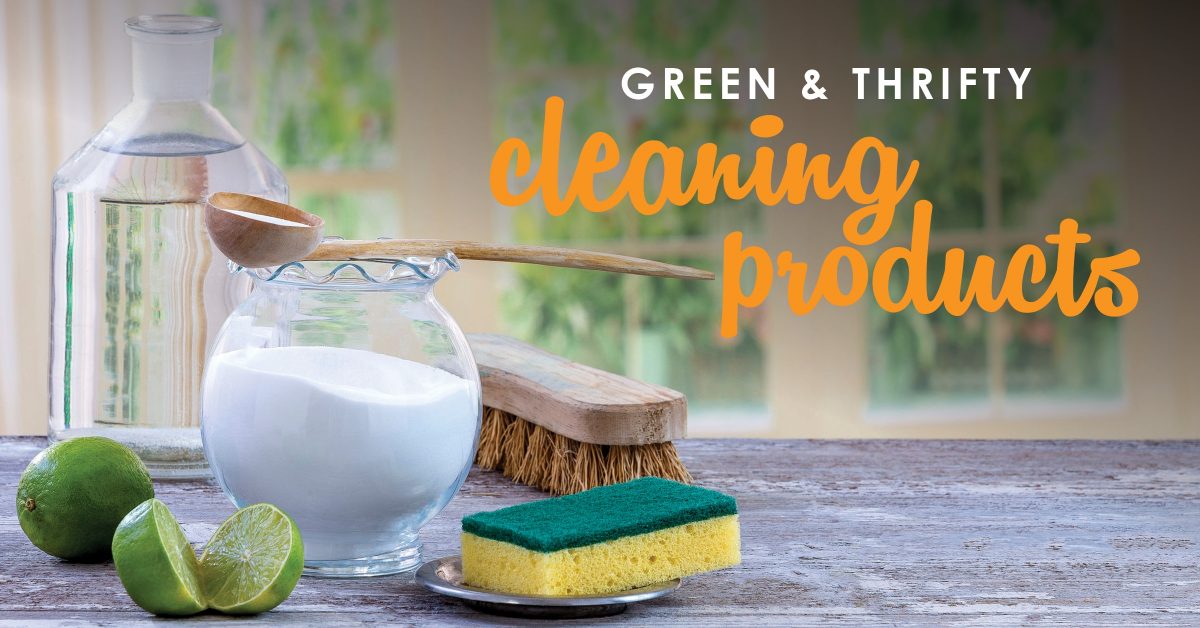 Green Thrifty Cleaning Products Diy Cleaning Supplies - 