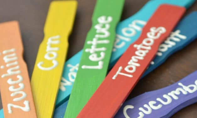 DIY Rainbow Garden Markers