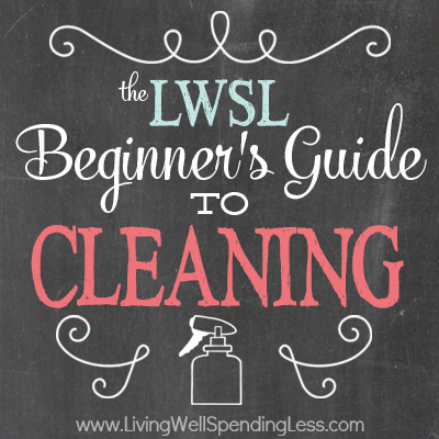 Beginner S Guide To Cleaning Part 6 Living Well Spending Less