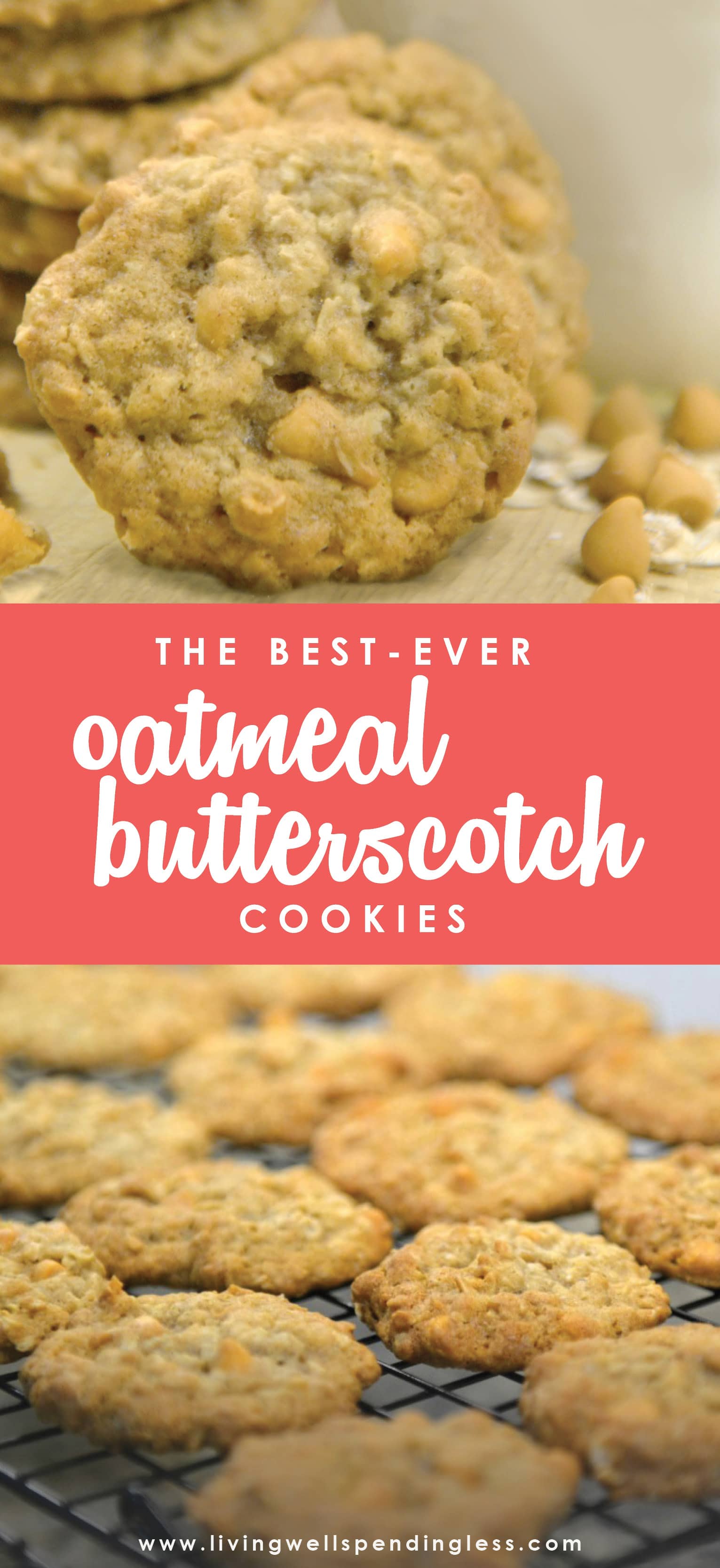 Oatmeal Butterscotch Cookies | Best Oatmeal Cookie Recipe