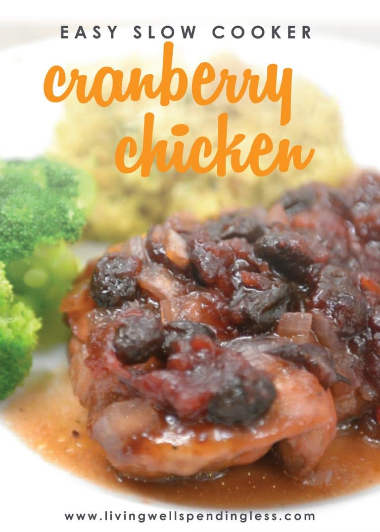 Easy Slow Cooker Cranberry Chicken | Best Cranberry Chicken Recipe