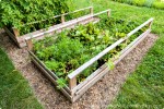 Tips for Growing a Vegetable Garden | Living Well Spending Less®