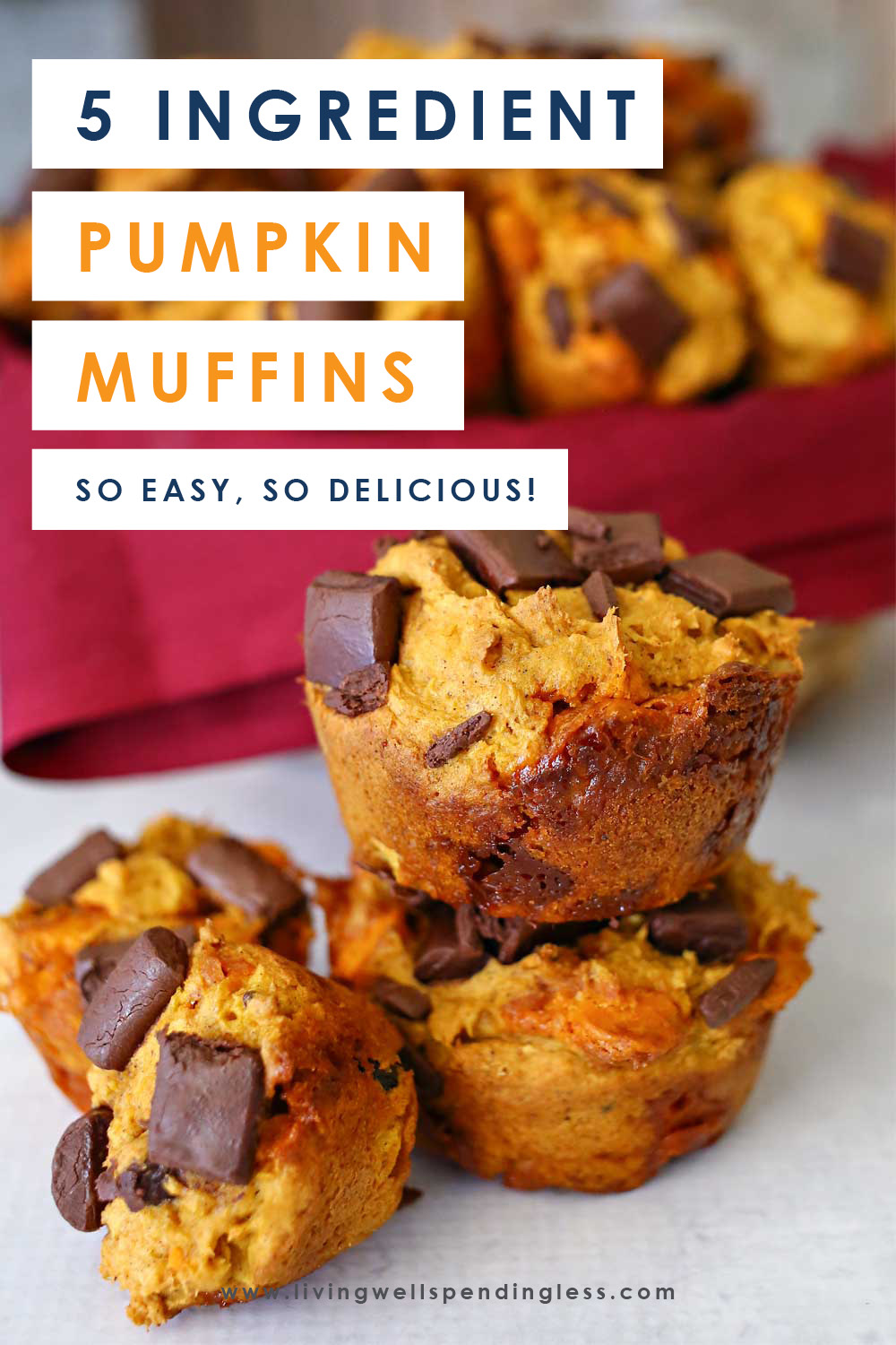 5 Ingredient Pumpkin Muffins | Easy + Delicious Pumpkin Muffin Recipe