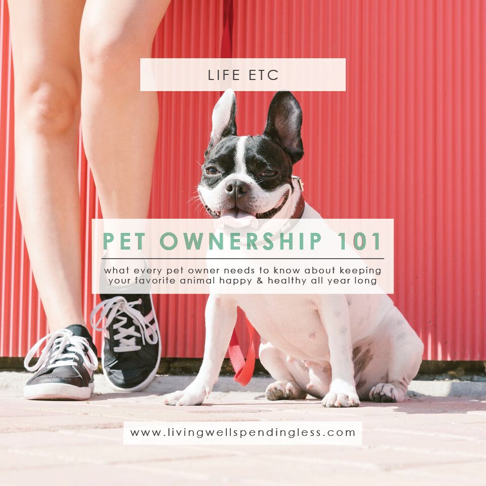 Pet Ownership 101 | Keep Your Pet Healthy All Year Long