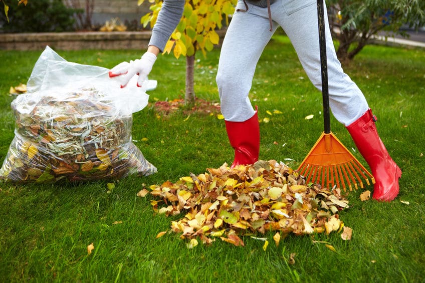 Prepare Your Home for Fall and Winter | Living Well Spending Less®